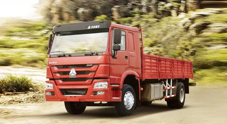 Sinotruk Howo 4×2 Cargo Truck